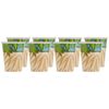 Creative Converting 8 Count Safari Adventure Hot/Cold Cups, 9 oz, Multicolor