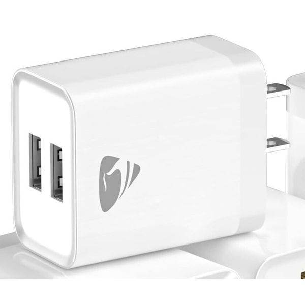 USB Wall Plug Adapter with 2 USB Ports for use with the Chill Out Swamp Coolers