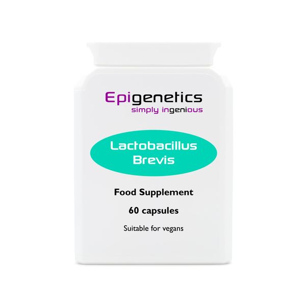 Lactobacillus Brevis | 5 Billion CFU Probiotic + Jerusalem Artichoke Prebiotic (Inulin) | 60 Vegan Delayed Release Capsules UK Made | 2 Month Supply