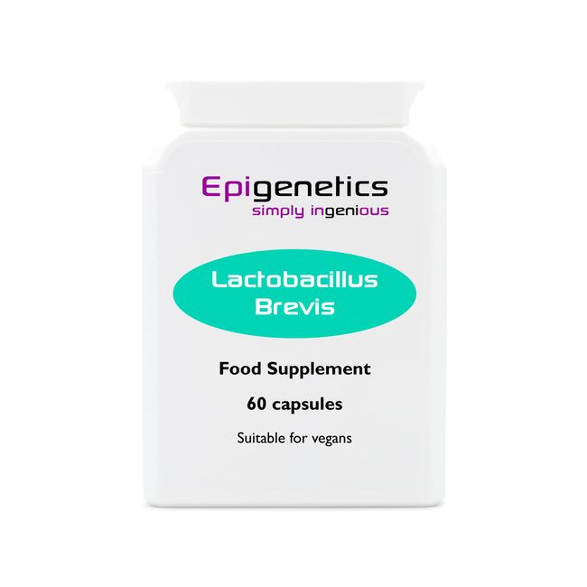 Lactobacillus Brevis | 5 Billion CFU Probiotic + Jerusalem Artichoke Prebiotic (Inulin) | 60 Vegan Delayed Release Capsules UK Made | 2 Month Supply