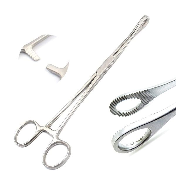 DDP Body Piercing Forceps Kit Hemostat Sponge Clamp 7" Straight New