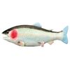 Realistic Looking Fake Rubber Trout Fish, Jumbo Size