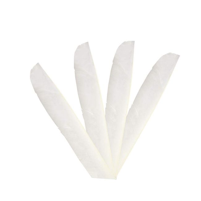 ZSHJG 50 Pack Archery Arrow Spiral Twist Wrap Full Length Feathers Left Wing Feathers Fletches Fletching (8-11inch) for Flu-Flu Arrows (White)