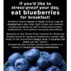 Brain Enhancing Nutrition - Clinical Strength "Brain Boost X"