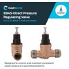 EB45 Sharkbite Pressure Regulating Valve, Direct, 3/4 Inch Push to Connect, Poly