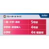 Molten V4M4000 Volleyball No. 4 Practice Ball Model