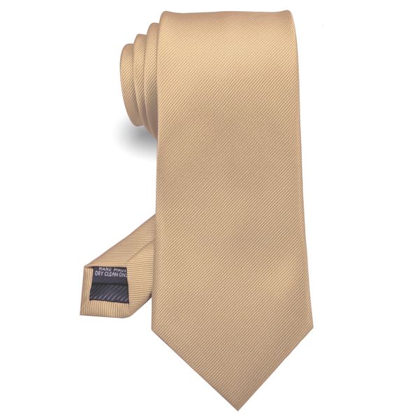 RBOCOTT Silk Champagne Tie Business Wedding Formal Necktie for Men (Champagne)