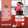 Lion's Mane and Cordyceps - Focus and Memory Nerve Support 120 Caps