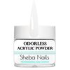 SHEBA NAILS State Board Sealed Odorless Nail Acrylic Student Kit