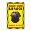 DWG Labrador (Chocolate) Lives Here - Large Security Sign 9" x 6"