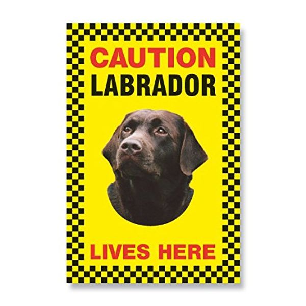 DWG Labrador (Chocolate) Lives Here - Large Security Sign 9" x 6"