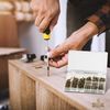 Edco Wood Screws Set (332 Wood Screws)