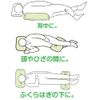 sohutotattikusshon , , , lightgreen,