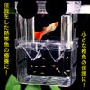 AllBright Fish Breeding Isolation Box, Aquarium, Hatching, Spawning Box, Isolate, Clear, 2-Tier Guppy, Shrimp, Medallion (Small)