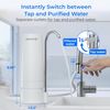 Waterdrop Countertop Water Filter,1 Filter Included,WD-CTF-05