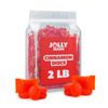 Cinnamon Discs Hard Candy | 2 LBS | Individually Wrapped Cinnamon Candy Bulk Bag