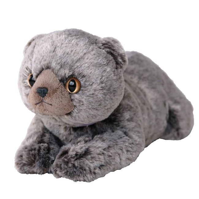 San Lemon P-8342 Knee Cat Scottish Fold Gray 17.5 x 12.6 x 33.2 cm Plush Animal