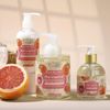 ROMIIE ZOI Liquid Hand Soap with Gift Box - Grapefruit - 260ml/ 8.7 fl.oz