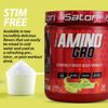 iSatori Amino-GRO-BCAA's with Glutamine and Bio-Active Peptides - Lemonade