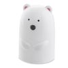 Chicco 4 in 1 Eisbär 00010731100000 Multi-Coloured