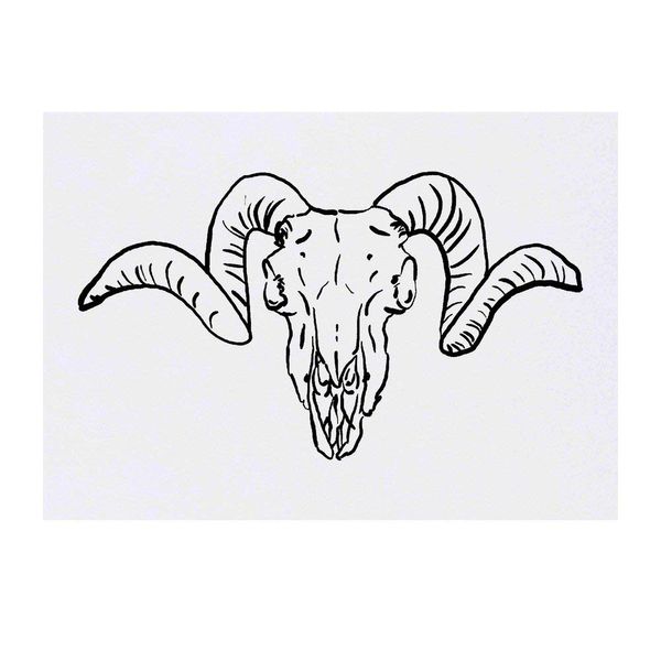 Large 'Ram Skull' Temporary Tattoo (TO00033634)