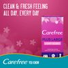 Carefree Plus Large Pantyliners - Pack of 60