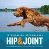 Maximum Strength Hip And Joint Supplement For Dogs - Chicken Flavored Soft Chews