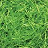 Box.it.pack.it Lime Green Shredded Kraft Paper, 200g