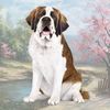 St. Bernard Tabletop Drink Coaster (1)