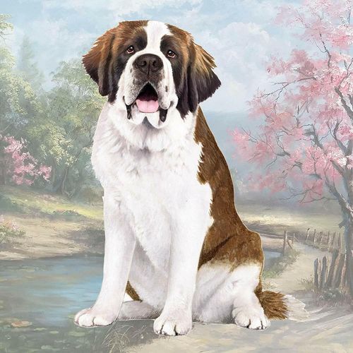 St. Bernard Tabletop Drink Coaster (1)
