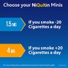 NiQuitin Minis Mint 1.5 mg Lozenges - Effective Smoking Craving Relief - Practical Pocket-Sized Container - Relieve Sudden Cravings - Reduce and Quit Smoking Aid, 60 Count (Pack of 3)