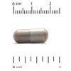 Cinnamon Extract, 500 mg, 60 Veggie Capsules (250 mg Per Capsule)
