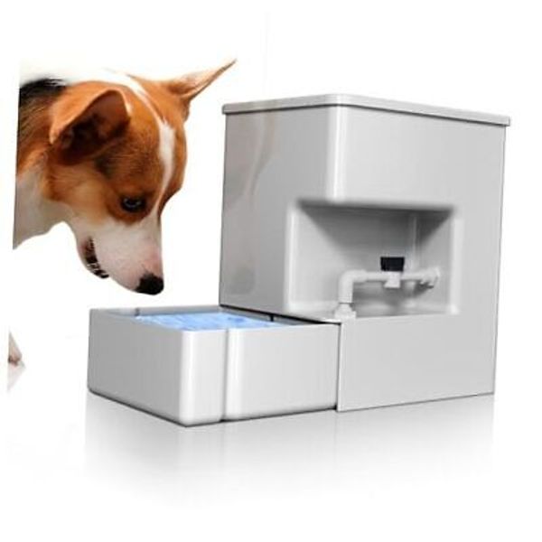 Dog Water Bowl Dispenser pet Water Dispenser Automatic 8L Pet 2.11Gal WHITE