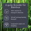 Bamboo Groom Oval Pin Brush w/Pins Large