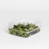 Inline Plastics SureLock PET Food Container Clear 194 oz. | 200/Case
