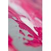 PEBEO Studio Acrylic 20 x 20 ml, APS833421
