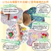 Bumkins スプラットマット (Raindrops(ホワイト))