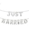 Just Married Banner Silver