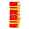 Iowa State Applique Sculpted Flag