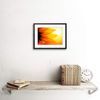 Sunflower Petals Close Up Framed Wall Art Print