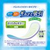 Charmnap Absorbent and Smooth Long, Unscented, Deodorizing, Featherless, 0.4 fl oz (10 cc), 7.5 inches (19 cm), 48 Pieces (Orimono & Moisture Care, Urine, Absorbent Liner, Urinary Leak Liner, Panty Liner Size, For Light Urine Leaking
