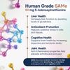 SilymarinAdvanced Liver Supplement for Cats - 30 tablets