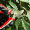 Gardening Hand Pruning Shears, Premium Blade for Plants Trimmer / PMS-1000