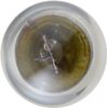 PartCatalog Clock Light Compatible With Austin Mini Moke 1966 1965 1964 P-3064901