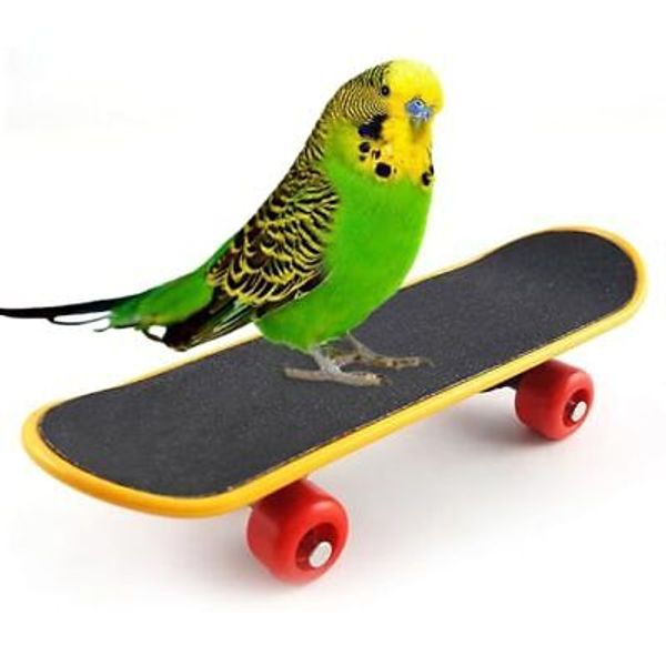 Bird Toys Skateboard Pet Supplies Parakeet Mini Skateboard Stand Up Training