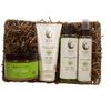 Key West Aloe Key Lime Seashore Gift Basket