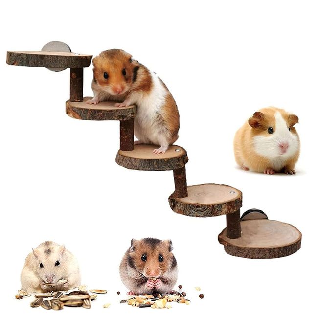 Kletterleiter für Hamster, Hamster Holzleiter Spielzeug, Hängebrücke aus Holz, Pet Ladder Bridge, Natural Living Brücke, für Hamsters, Mice, Gerbils, Rats, Squirrels, Guinea Pigs, Parrots