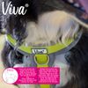 Ancol Viva Padded Harness Lime L 52-71cm
