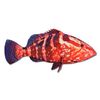 GT Graphics Express Grouper - 12" Vinyl Sticker Waterproof Decal