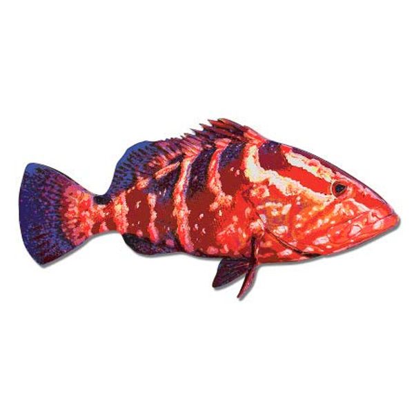 GT Graphics Express Grouper - 12" Vinyl Sticker Waterproof Decal